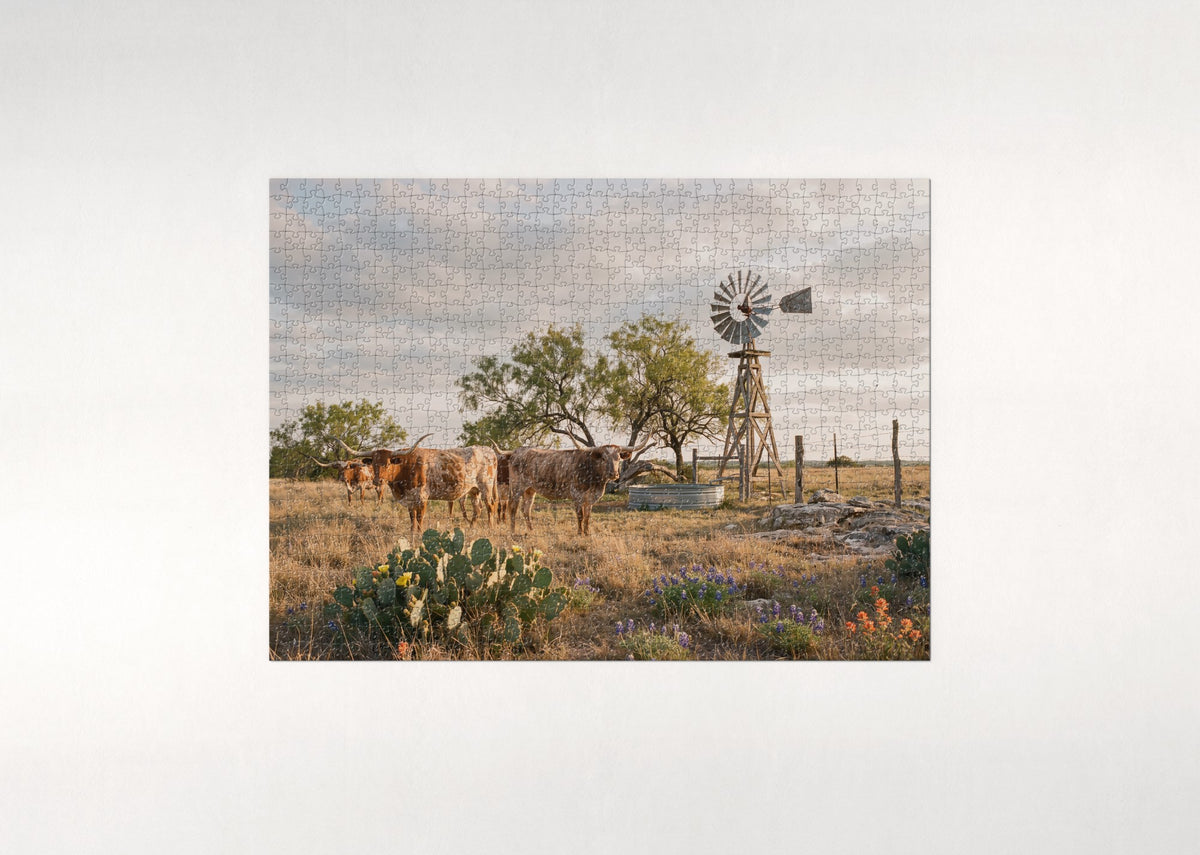 Longhorn Cattle on the Texas Range jigsaw puzzle - flat puzzle