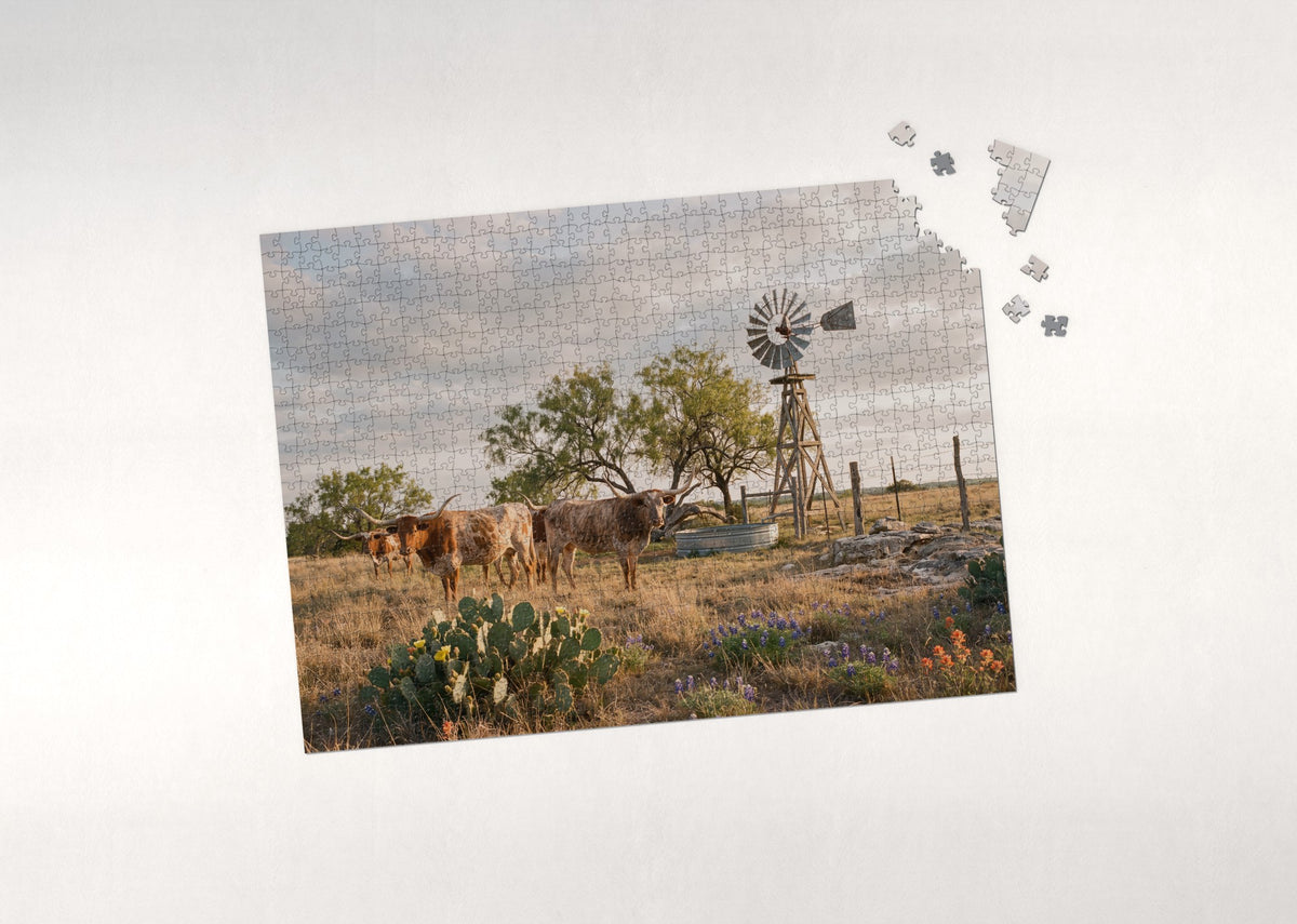 Longhorn Cattle on the Texas Range jigsaw puzzle - puzzle with loose pieces