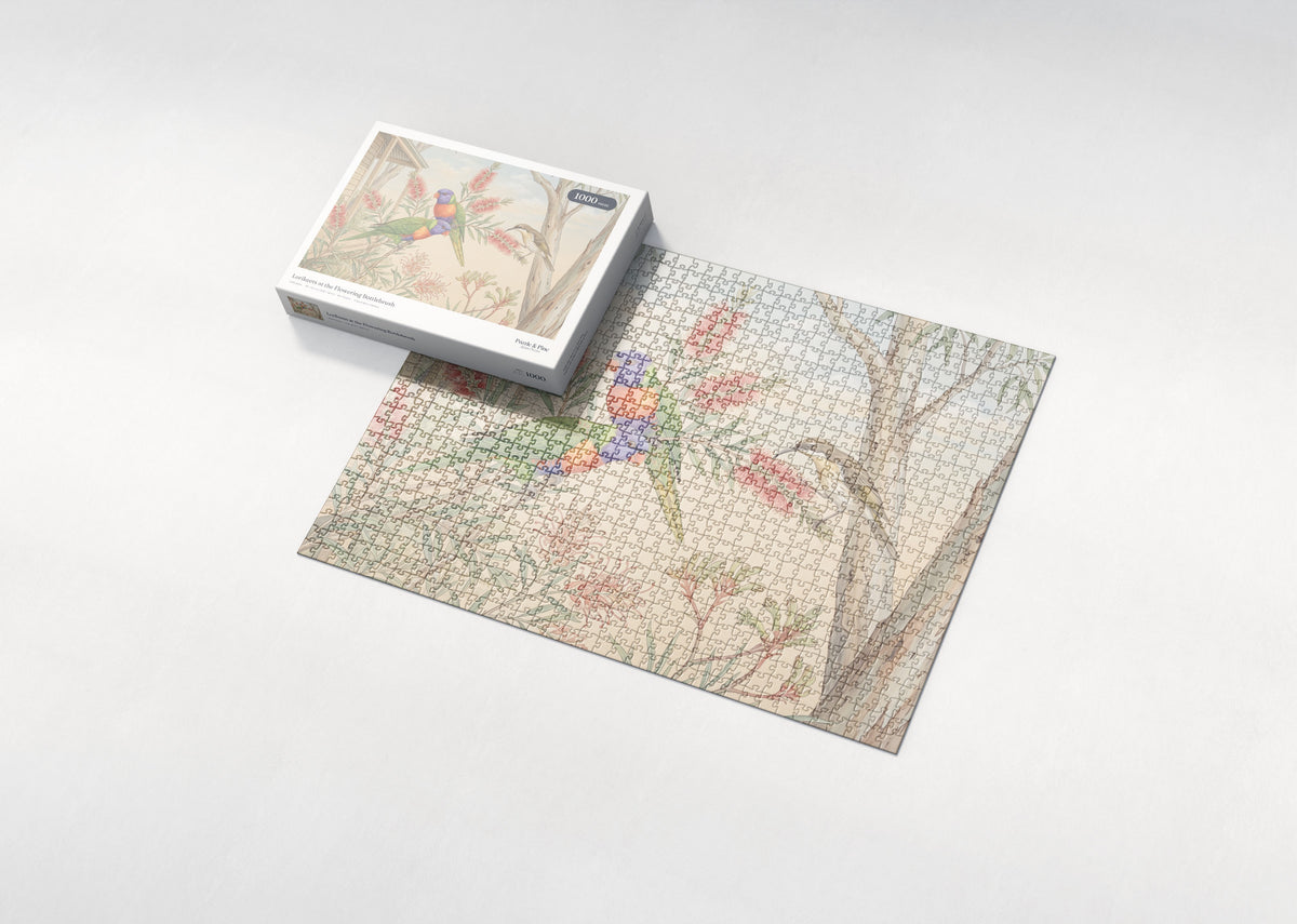 Lorikeets at the Flowering Bottlebrush jigsaw puzzle - box and puzzle