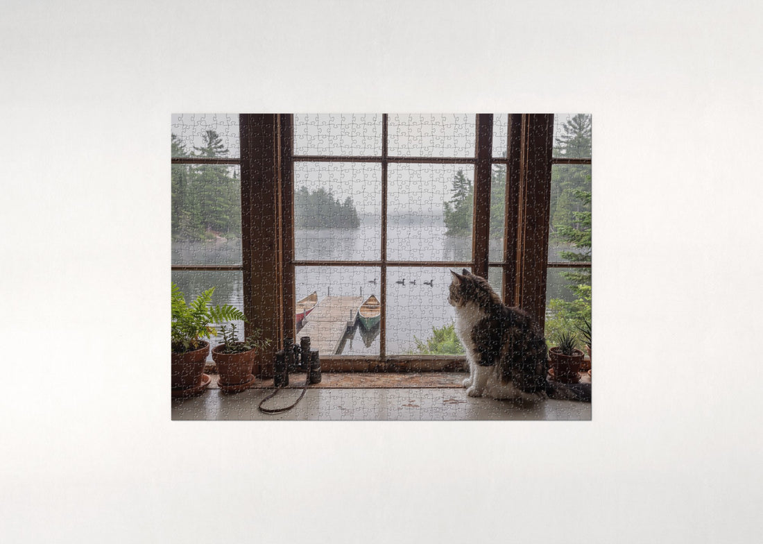 Maine Coon At the Lake House Window jigsaw puzzle - gift box