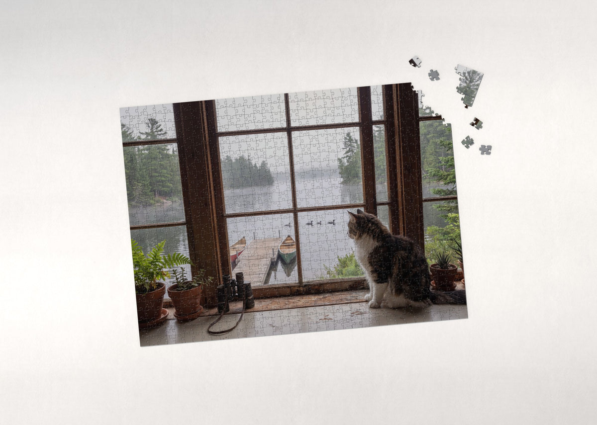 Maine Coon At the Lake House Window jigsaw puzzle - puzzle with loose pieces