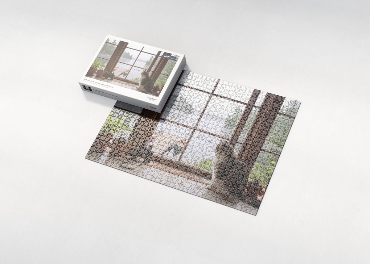 Maine Coon At the Lake House Window jigsaw puzzle - box and puzzle