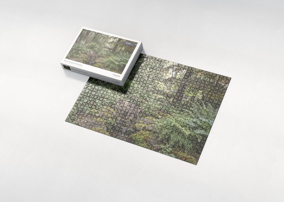 Maine Coon In the Fern Garden jigsaw puzzle - box and puzzle