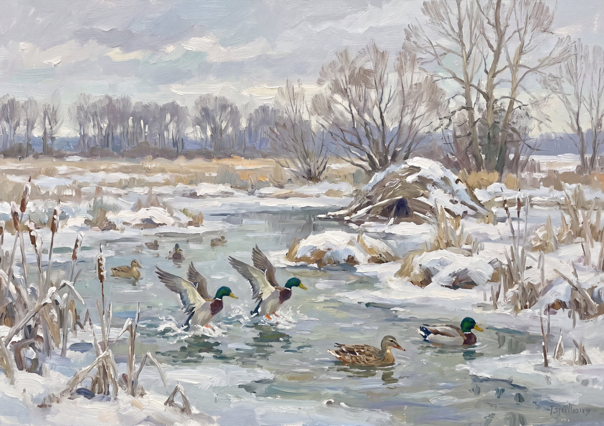 Mallards Landing at the Winter Marsh jigsaw puzzle