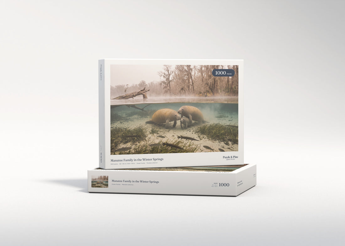 Manatee Family in the Winter Springs jigsaw puzzle - gift box