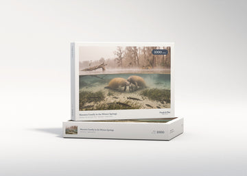 Manatee Family in the Winter Springs jigsaw puzzle - gift box