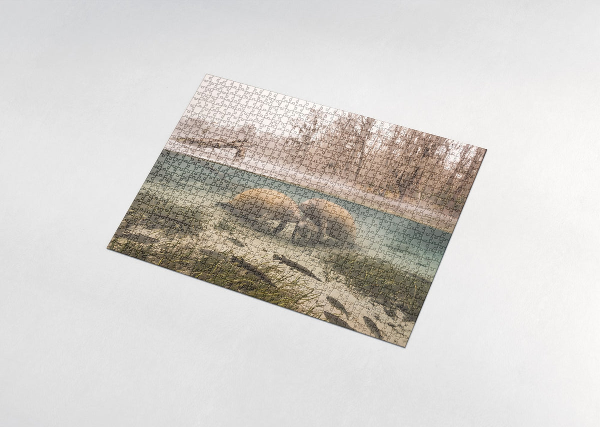 Manatee Family in the Winter Springs jigsaw puzzle - assembled puzzle