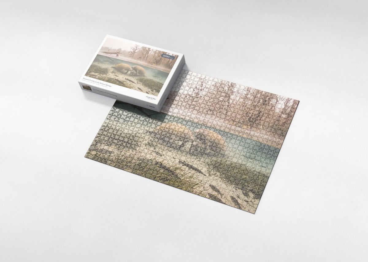 Manatee Family in the Winter Springs jigsaw puzzle - box and puzzle