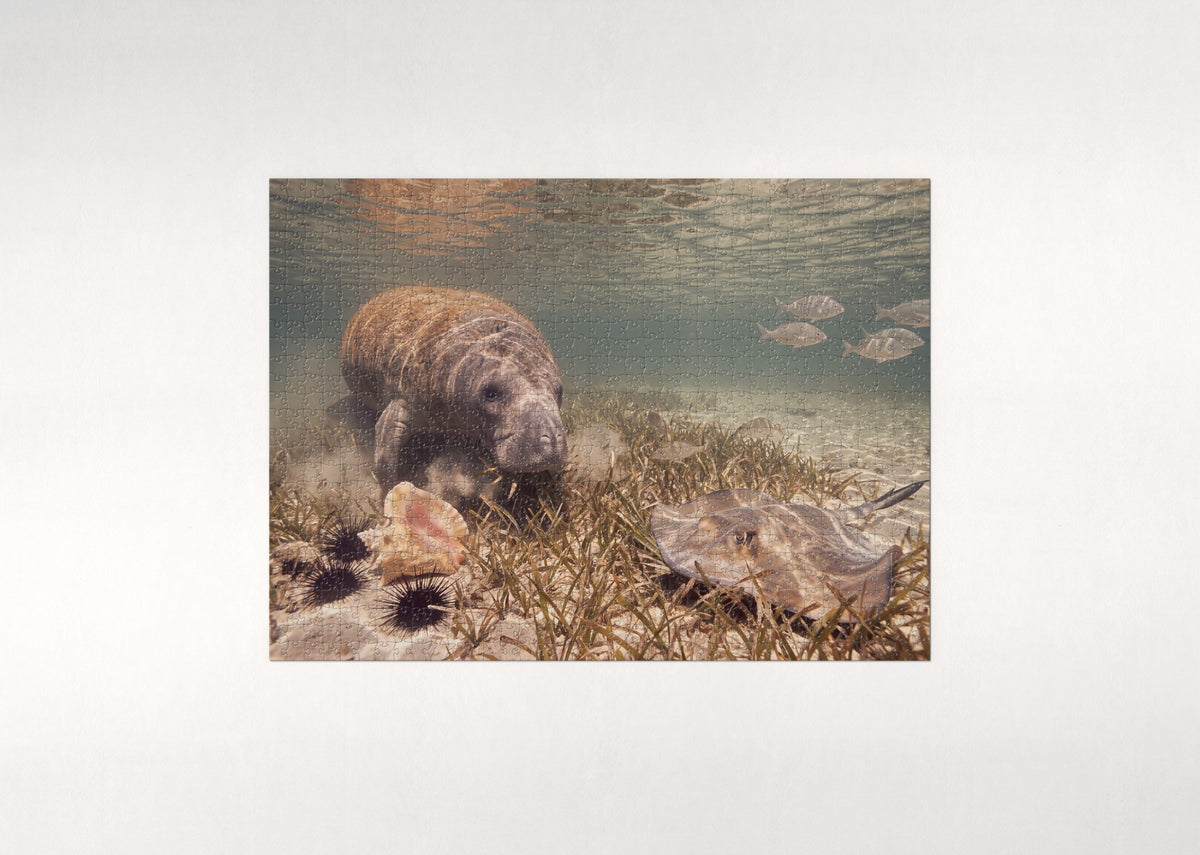 Manatee Grazing on Seagrass jigsaw puzzle - flat puzzle