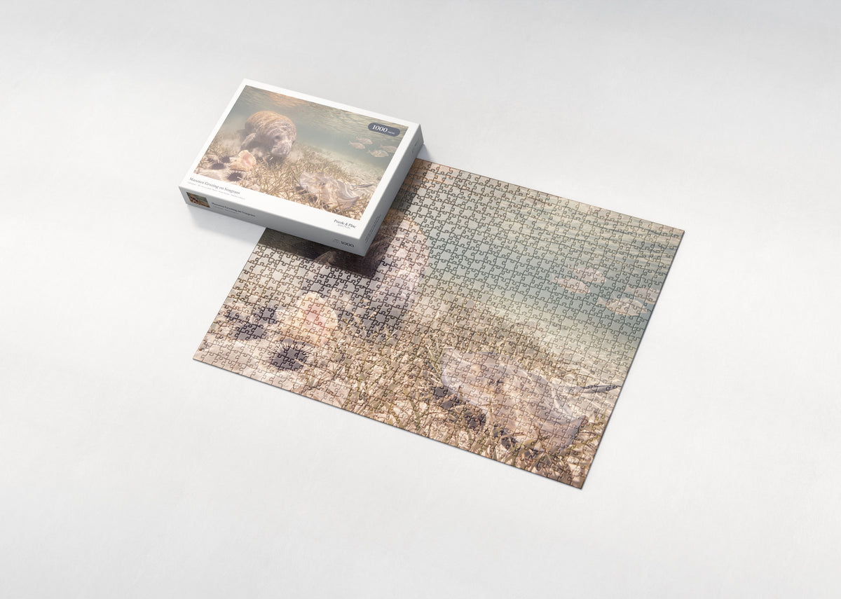Manatee Grazing on Seagrass jigsaw puzzle - box and puzzle