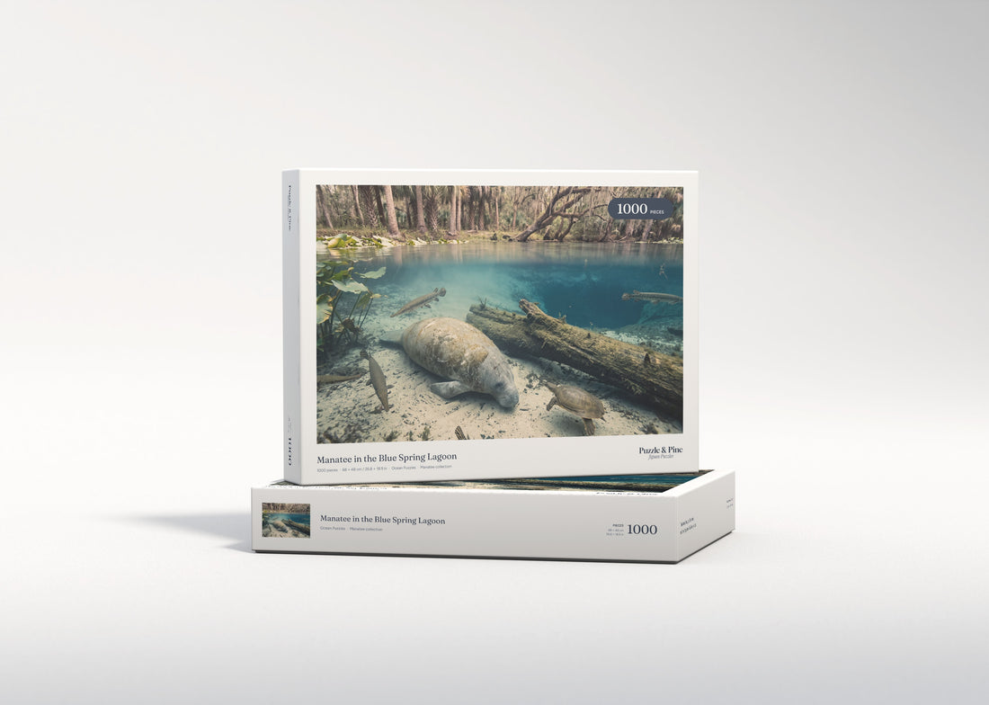 Manatee in the Blue Spring Lagoon jigsaw puzzle - gift box