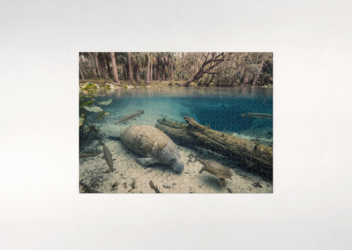 Manatee in the Blue Spring Lagoon jigsaw puzzle - flat puzzle