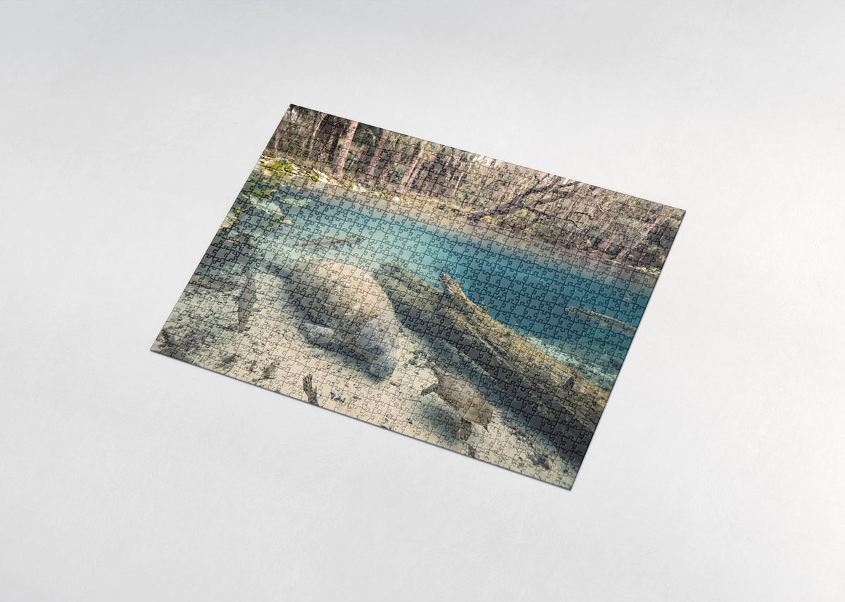 Manatee in the Blue Spring Lagoon jigsaw puzzle - assembled puzzle