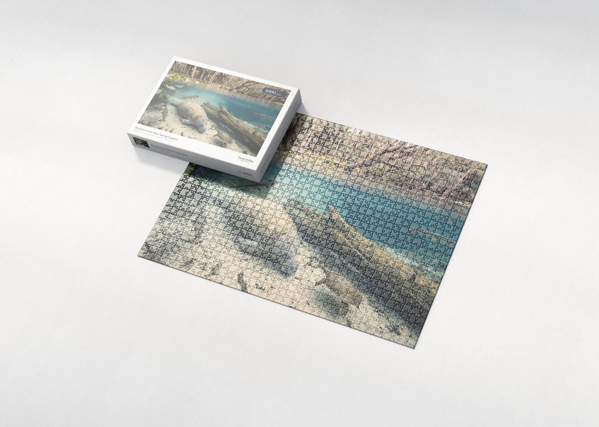 Manatee in the Blue Spring Lagoon jigsaw puzzle - box and puzzle