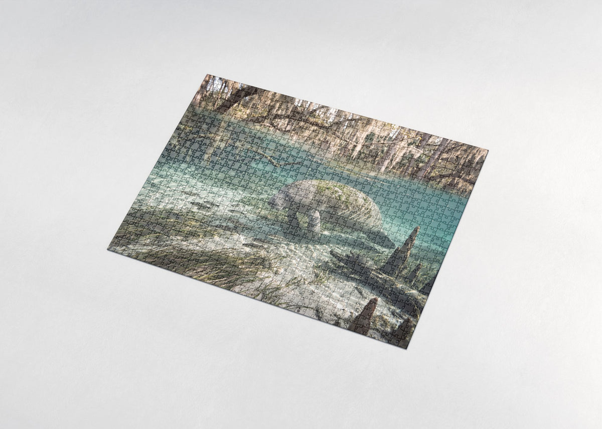 Manatee in the Crystal River Spring jigsaw puzzle - assembled puzzle