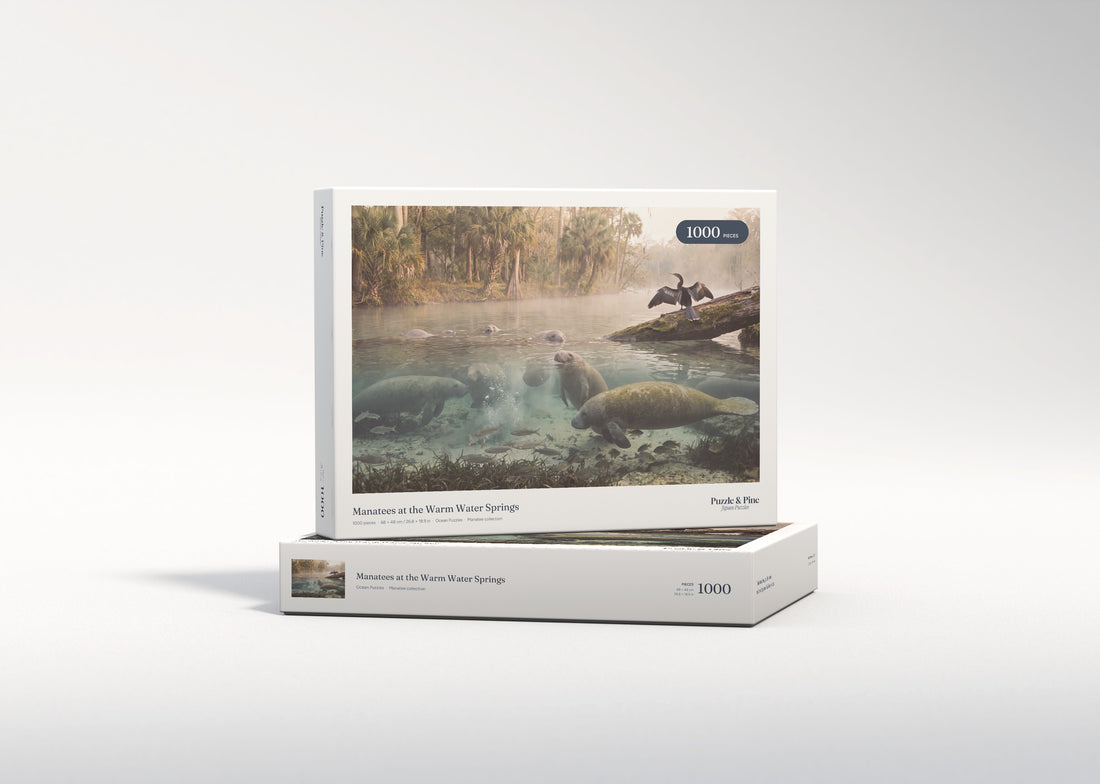 Manatees at the Warm Water Springs jigsaw puzzle - gift box