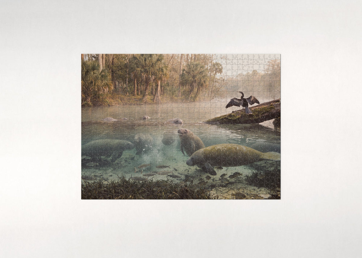 Manatees at the Warm Water Springs jigsaw puzzle - flat puzzle