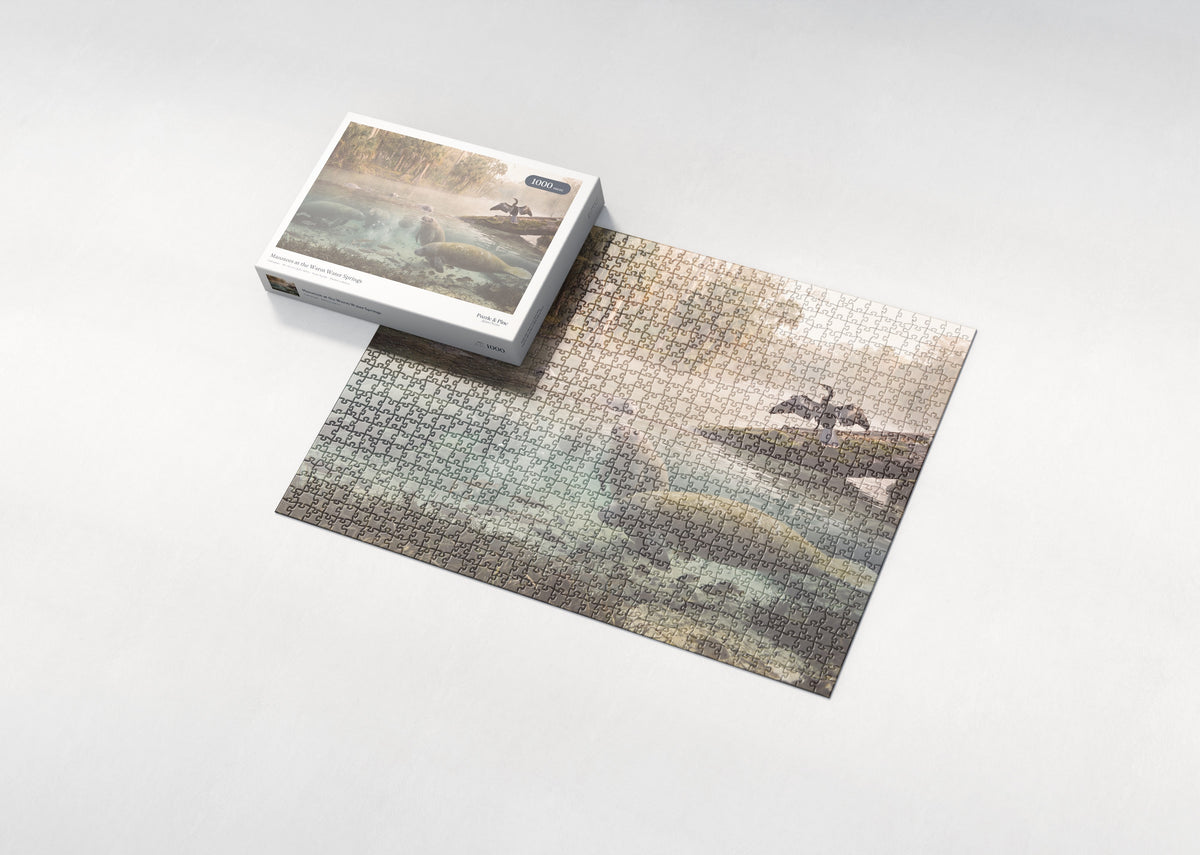 Manatees at the Warm Water Springs jigsaw puzzle - box and puzzle