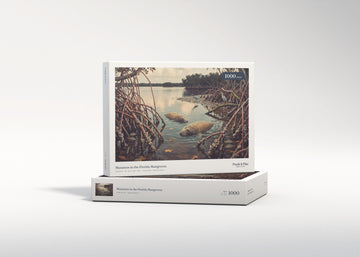 Manatees in the Florida Mangroves jigsaw puzzle - gift box