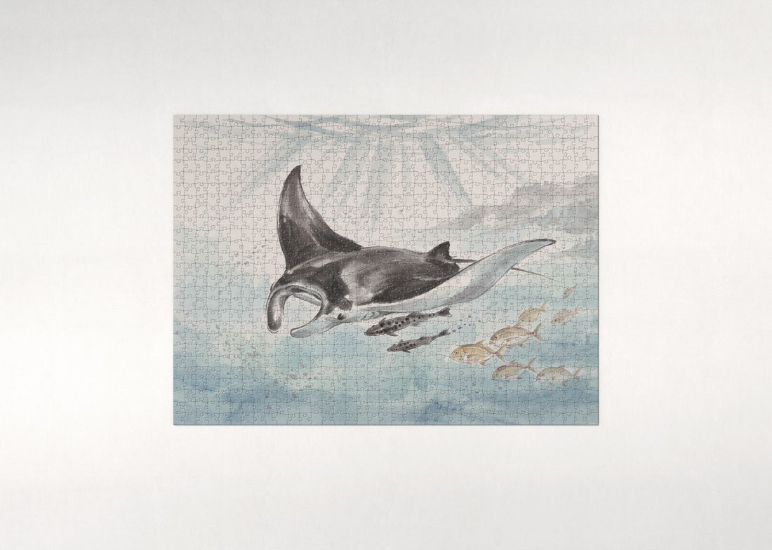 Manta Ray Gliding in the Blue jigsaw puzzle - gift box