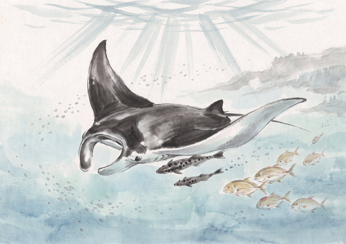 Manta Ray Gliding in the Blue jigsaw puzzle
