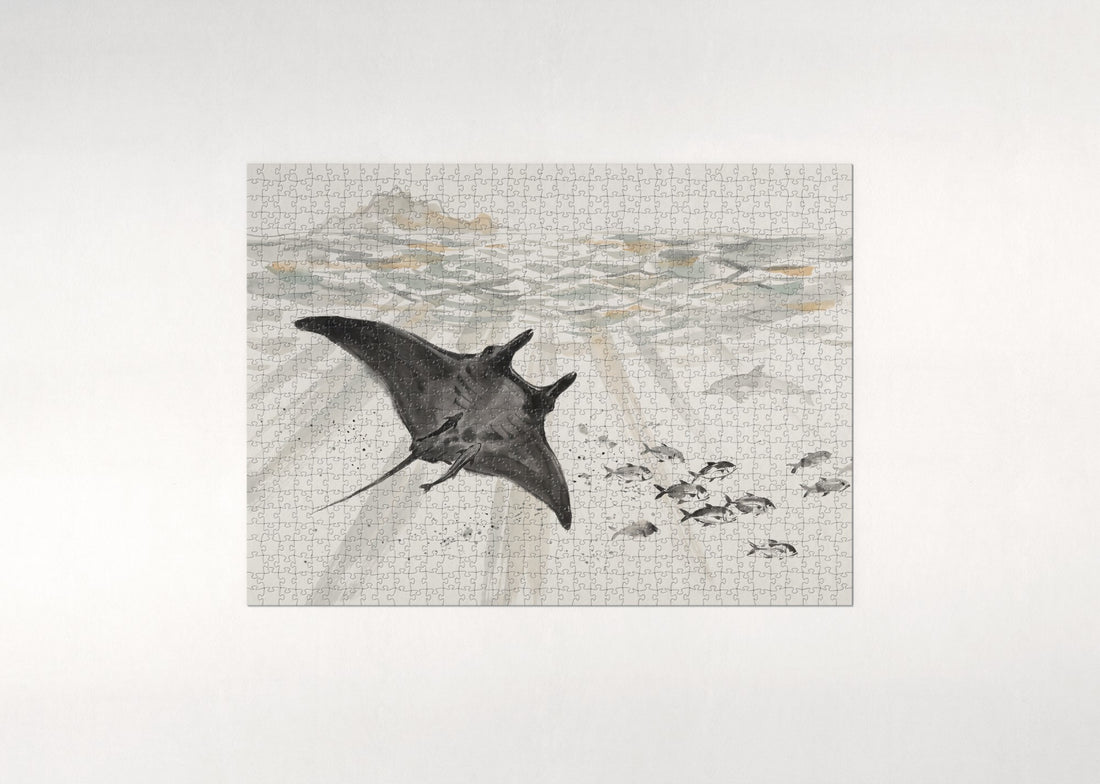 Manta Ray Silhouette at the Surface jigsaw puzzle - gift box
