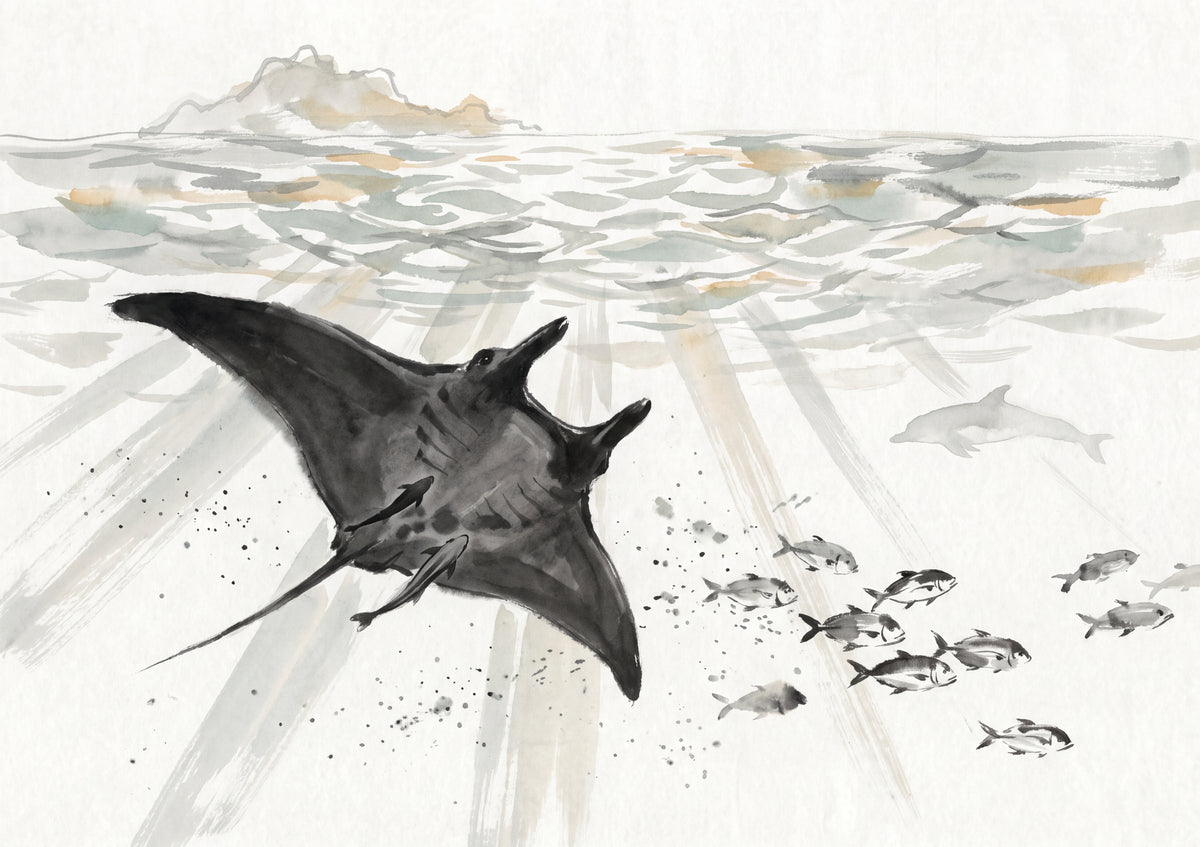 Manta Ray Silhouette at the Surface jigsaw puzzle
