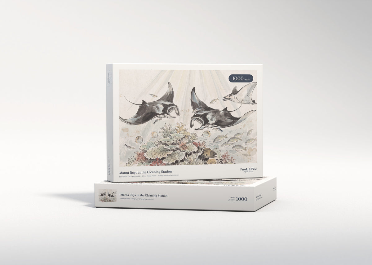 Manta Rays at the Cleaning Station jigsaw puzzle - gift box