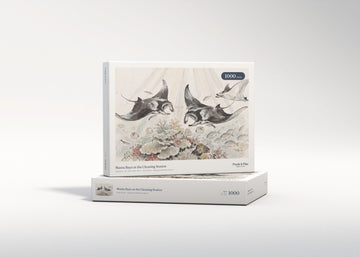 Manta Rays at the Cleaning Station jigsaw puzzle - gift box