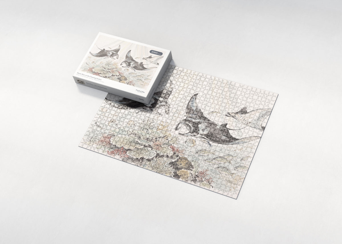Manta Rays at the Cleaning Station jigsaw puzzle - box and puzzle