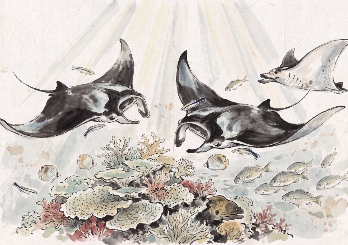 Manta Rays at the Cleaning Station jigsaw puzzle