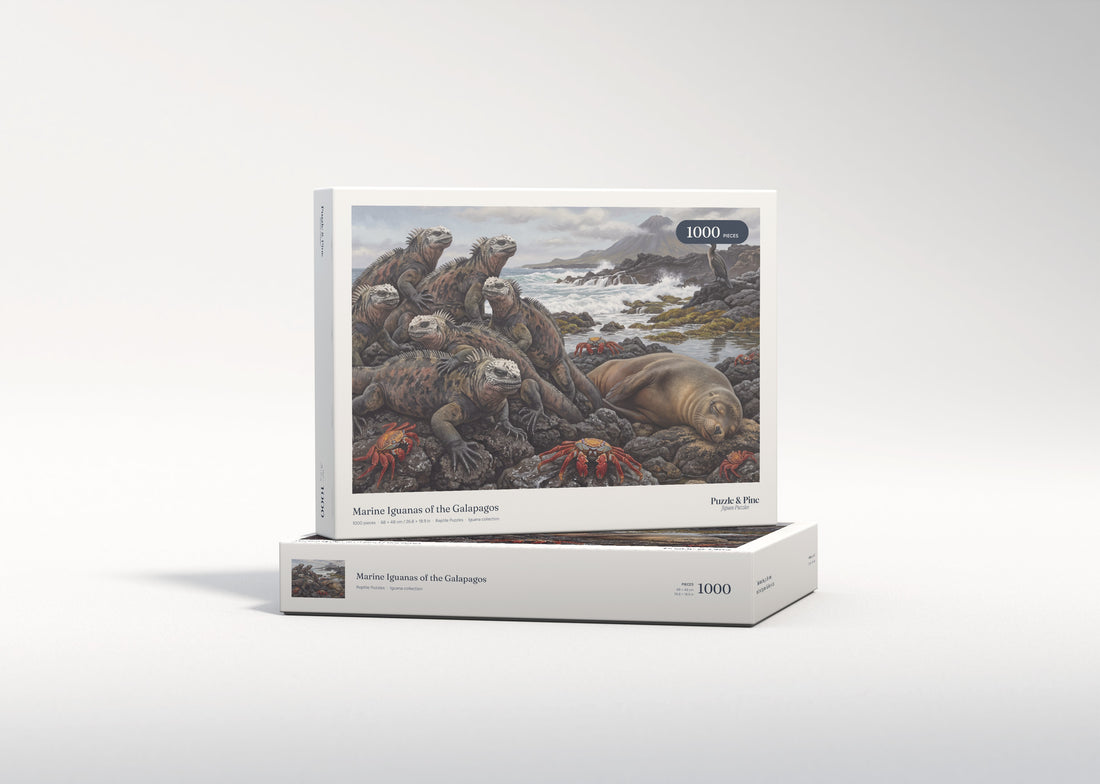 Marine Iguanas of the Galapagos jigsaw puzzle - gift box