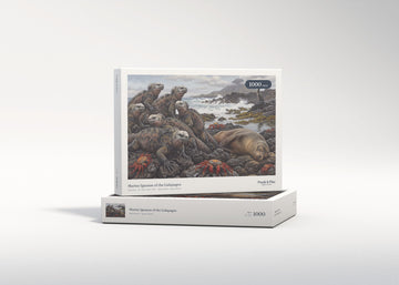 Marine Iguanas of the Galapagos jigsaw puzzle - gift box