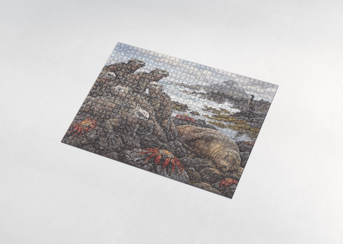 Marine Iguanas of the Galapagos jigsaw puzzle - assembled puzzle