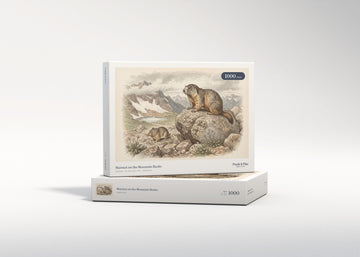 Marmot on the Mountain Rocks jigsaw puzzle - gift box