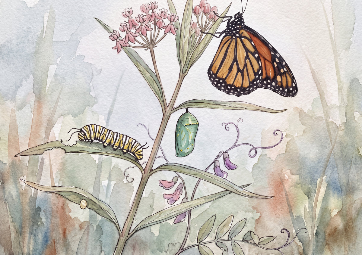 Monarch Caterpillar to Butterfly jigsaw puzzle
