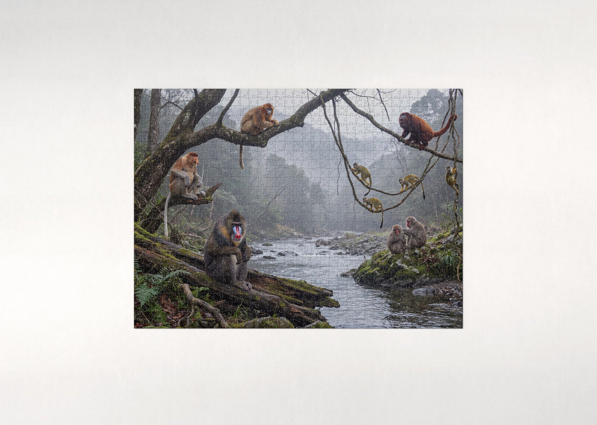 Monkeys of the World Collage jigsaw puzzle - flat puzzle