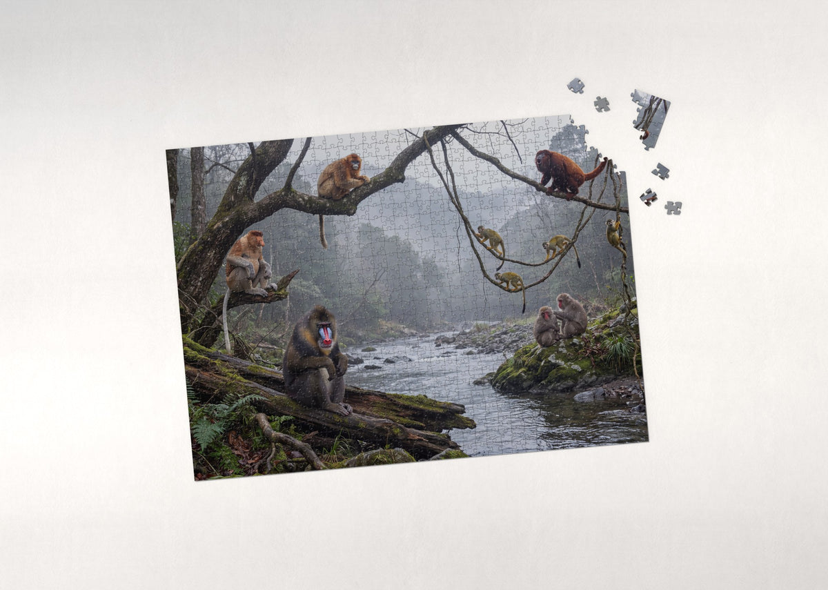 Monkeys of the World Collage jigsaw puzzle - puzzle with loose pieces