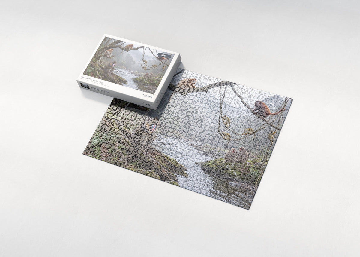 Monkeys of the World Collage jigsaw puzzle - box and puzzle