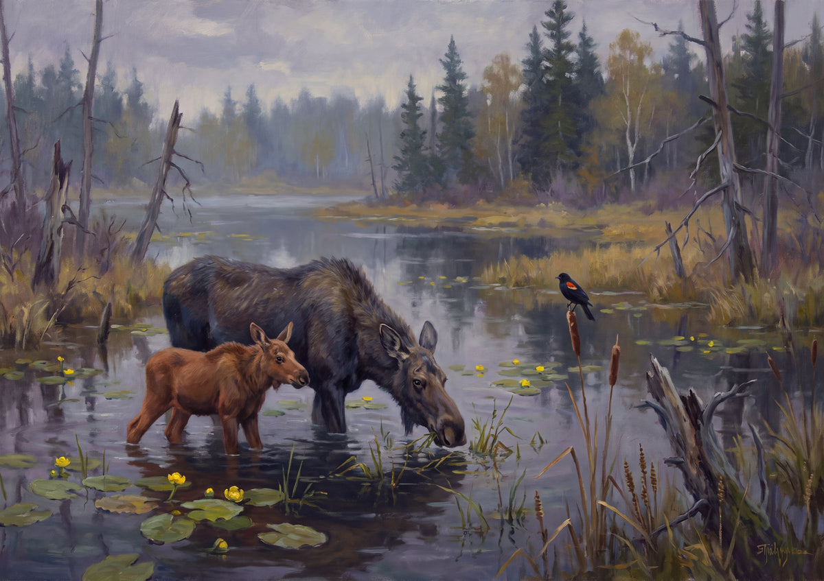 Moose and Calf in the Lily Marsh jigsaw puzzle