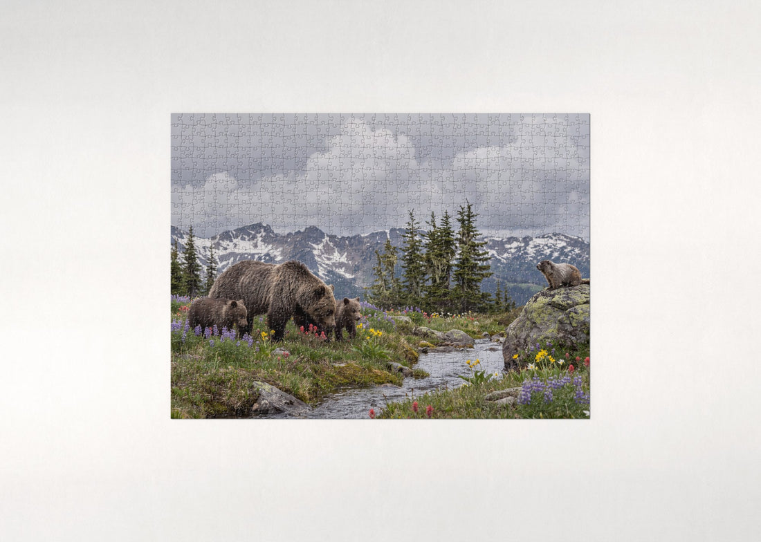 Mother Bear and Cubs in the Wildflower Meadow jigsaw puzzle - gift box