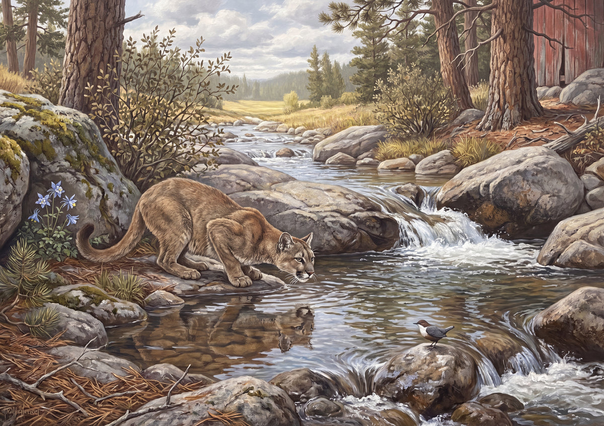 Mountain Lion at the Rocky Stream jigsaw puzzle