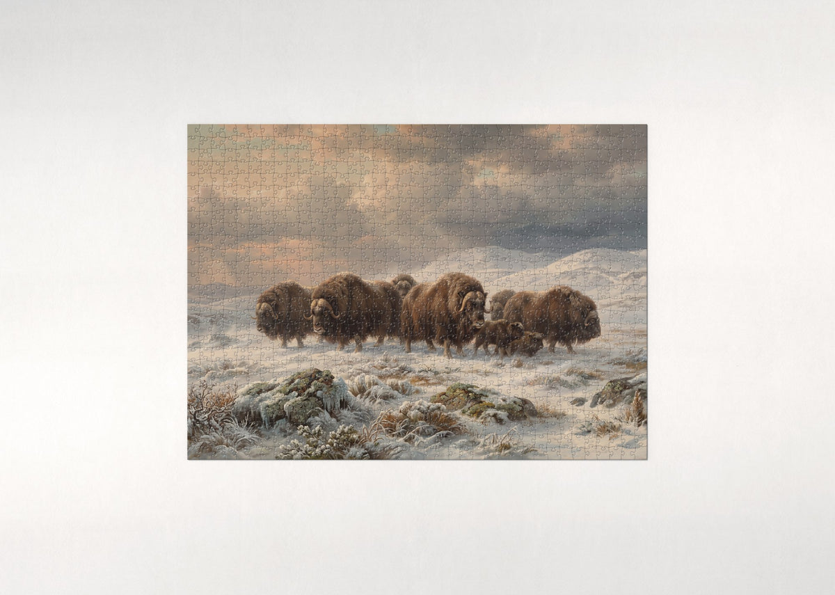 Musk Ox Herd in the Tundra Wind jigsaw puzzle - flat puzzle
