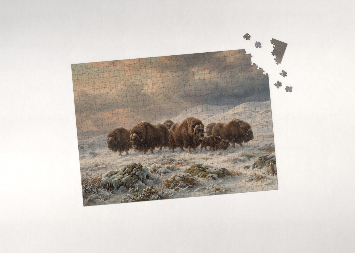 Musk Ox Herd in the Tundra Wind jigsaw puzzle - puzzle with loose pieces