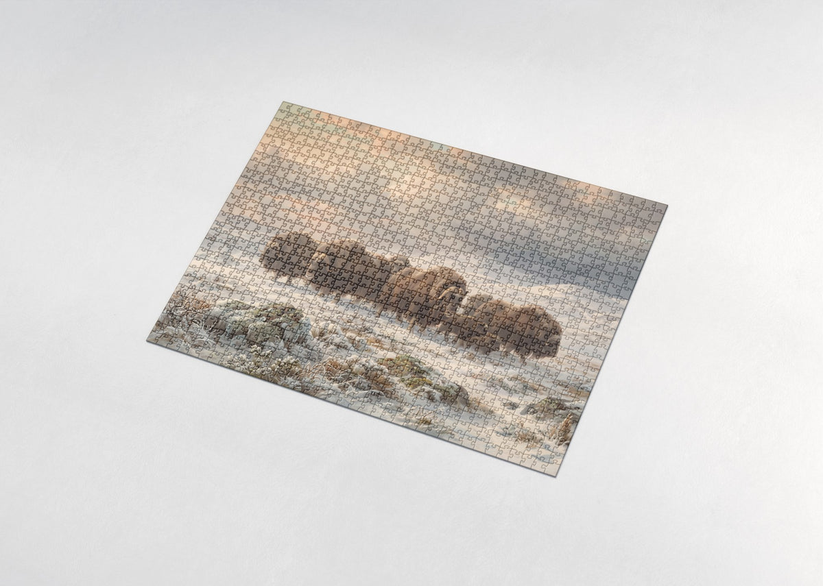 Musk Ox Herd in the Tundra Wind jigsaw puzzle - assembled puzzle