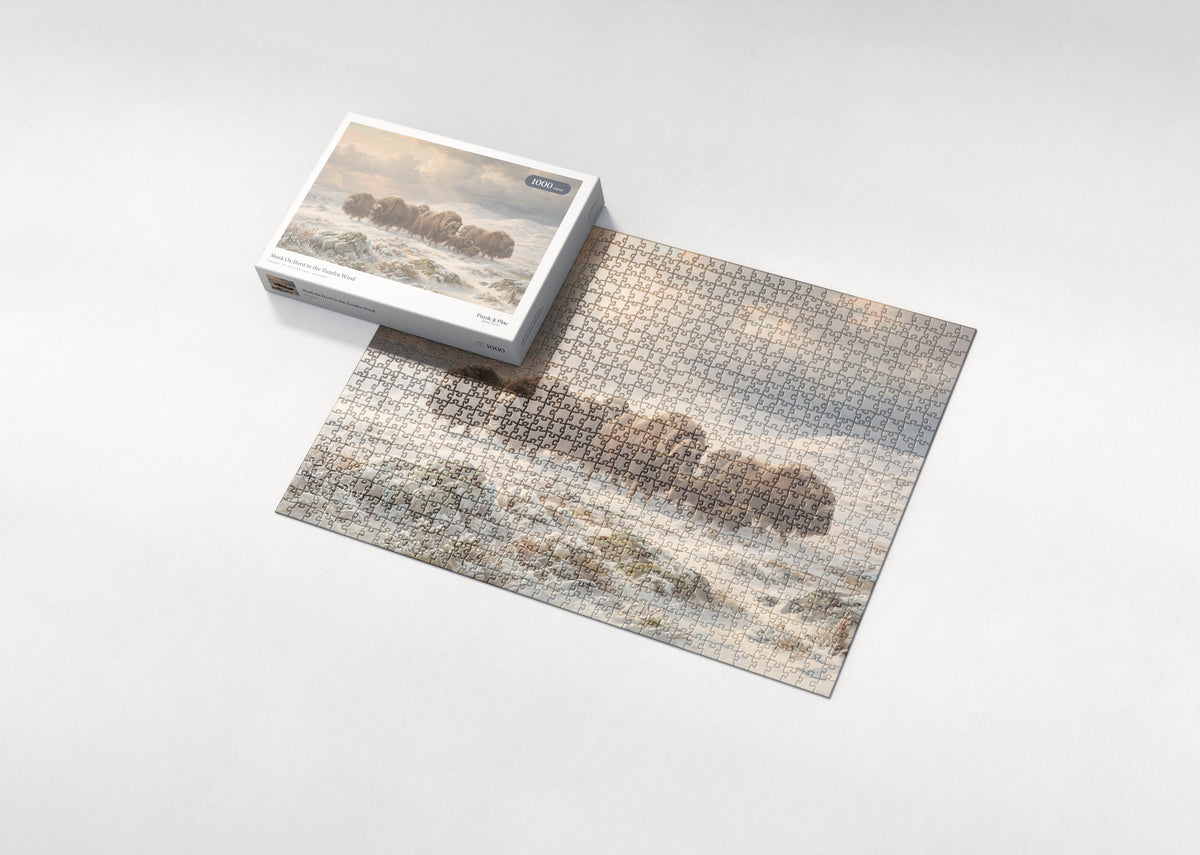 Musk Ox Herd in the Tundra Wind jigsaw puzzle - box and puzzle