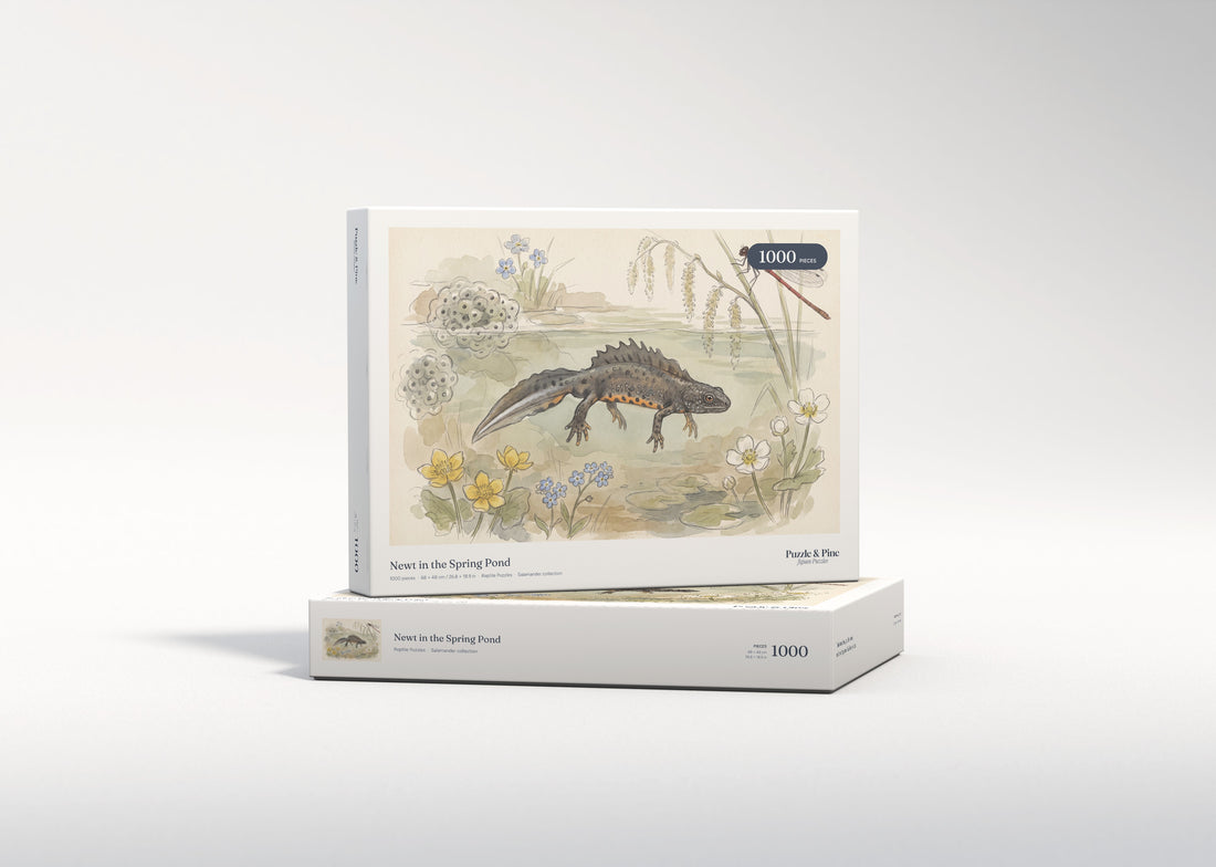 Newt in the Spring Pond jigsaw puzzle - gift box