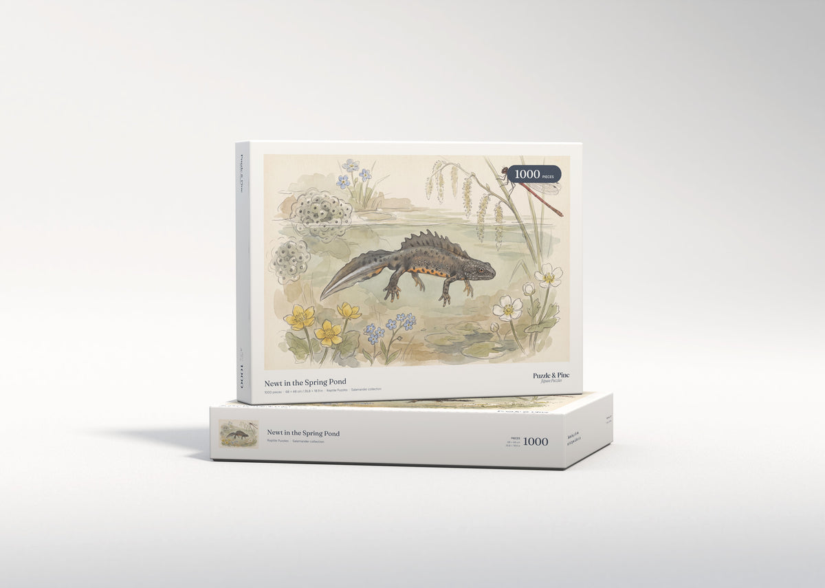 Newt in the Spring Pond jigsaw puzzle - gift box