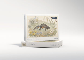 Newt in the Spring Pond jigsaw puzzle - gift box