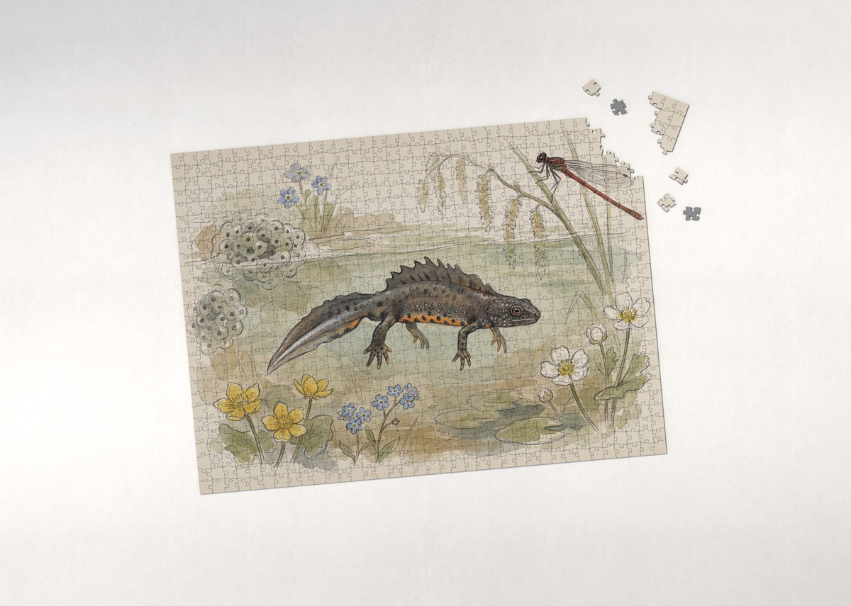 Newt in the Spring Pond jigsaw puzzle - puzzle with loose pieces